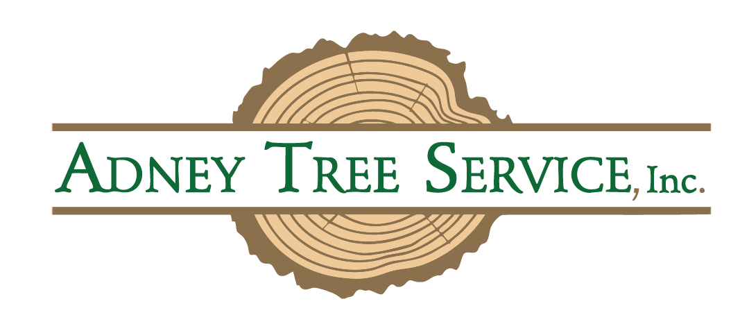 Tree service company logo graphic